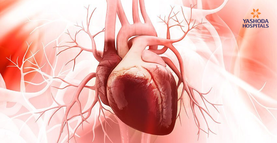 Congenital Heart Diseases in Adults