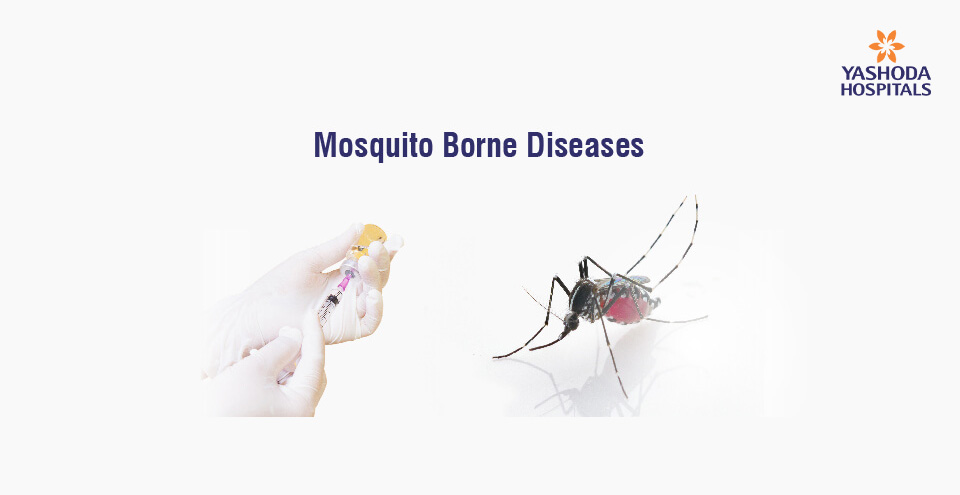 Mosquito borne diseases